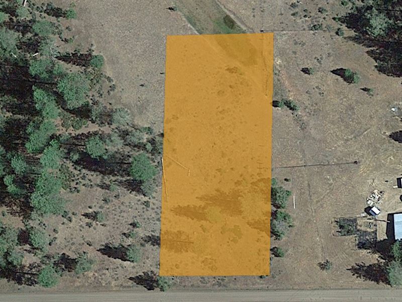 Large Parcel, Rural, Scenic Area : Lookout : Modoc County : California