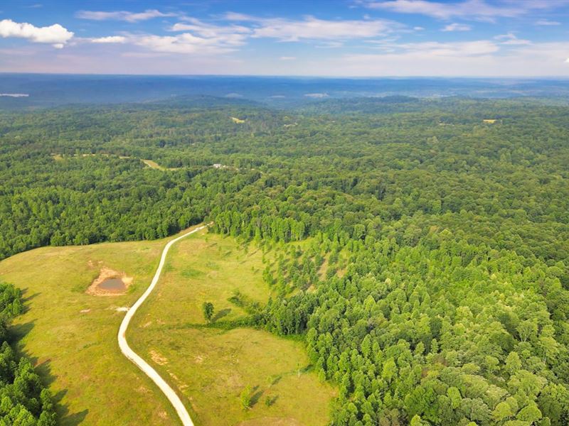 5 Wooded Acres, NO HOA, Live in RV : Indian Mound : Stewart County : Tennessee