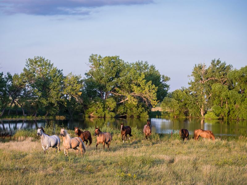 Reinert Arena : Wall : Pennington County : South Dakota