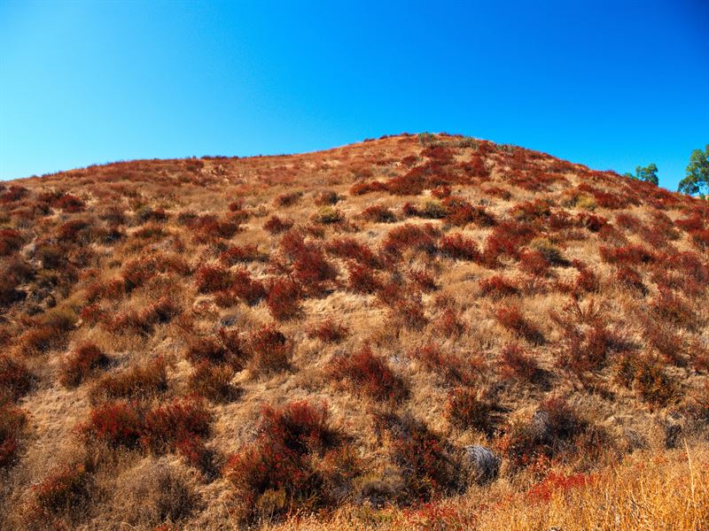 Prime Location : Lake Elsinore : Riverside County : California