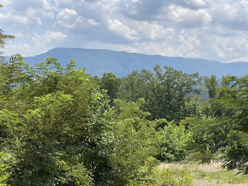 Wild Cave Land Near Amenities : Big Stone Gap : Wise County : Virginia
