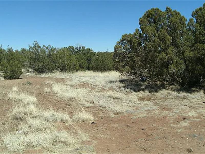 $125/Mo Golden Horse, Snowflake Gem : Snowflake : Navajo County : Arizona