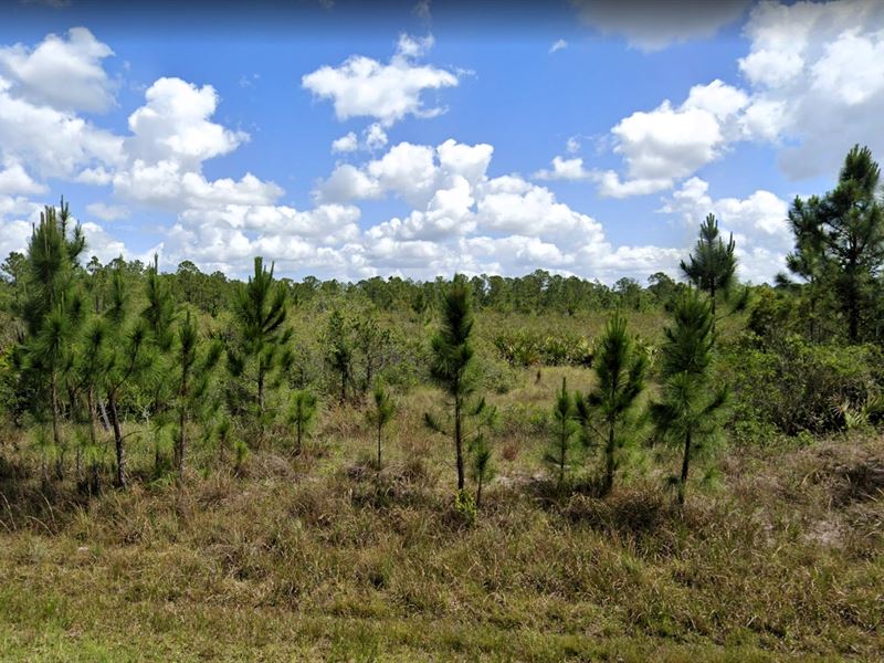Dunnellon 0.73 Ac, $396/Mo Thrill : Dunnellon : Marion County : Florida