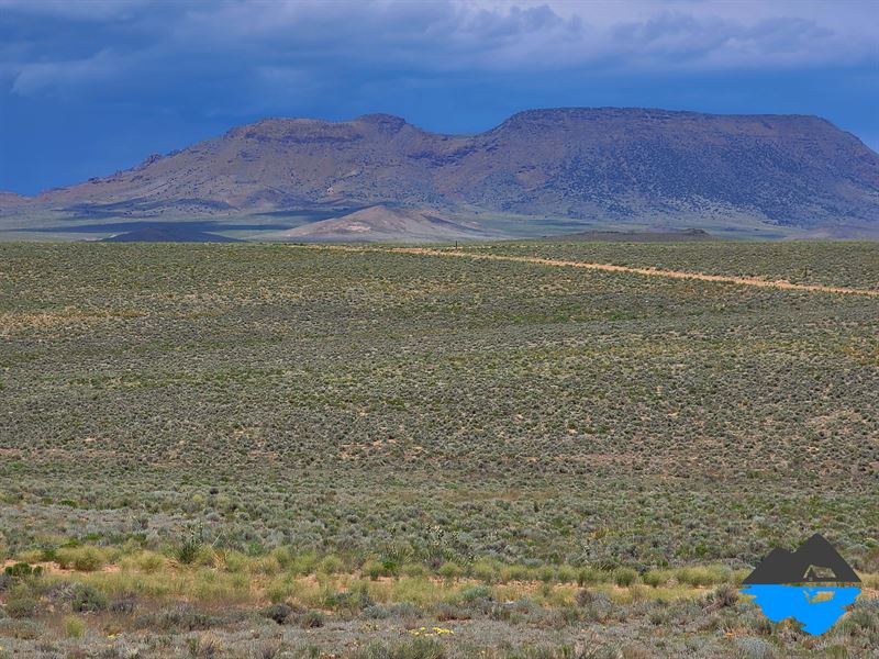 Your Lot Close to The River & Views : San Acacio : Costilla County : Colorado