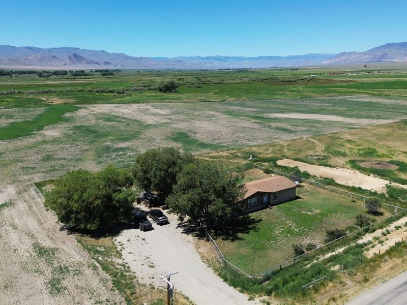 Patterson Creek Homestead : May : Lemhi County : Idaho