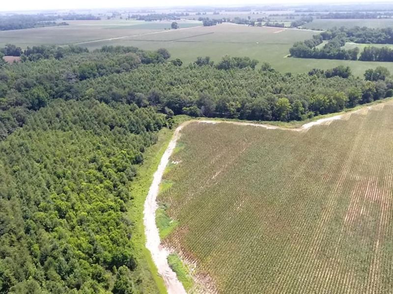 Collinston 50 : Collinston : Morehouse Parish : Louisiana