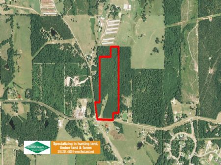 35 Ac Commercial/development : Downsville : Lincoln Parish : Louisiana
