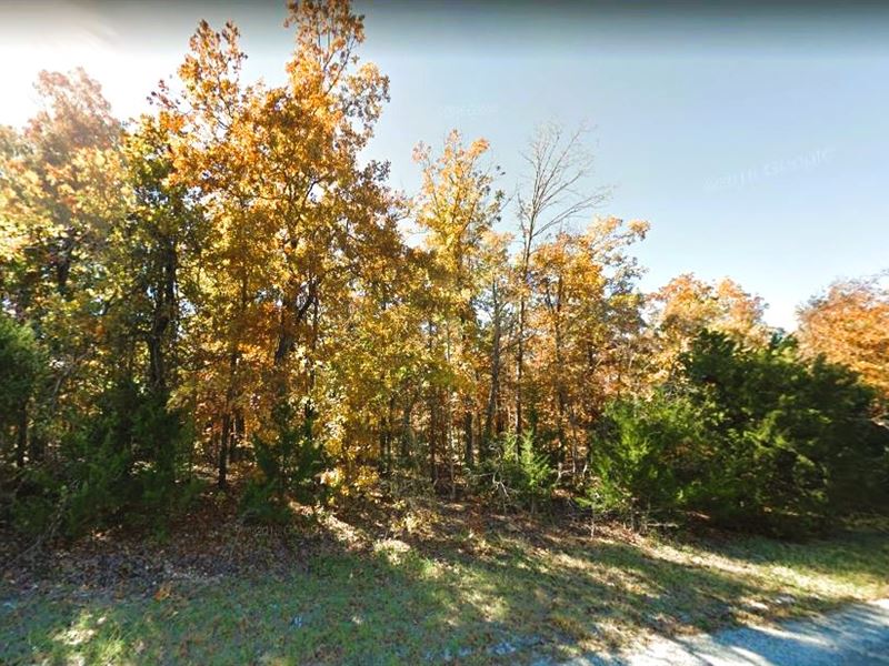 Curate Your Self-Sufficient Haven : Horseshoe Bend : Izard County : Arkansas