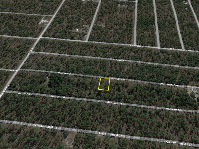 .24 Acre Off Hemlock Ave : Dunnellon : Marion County : Florida