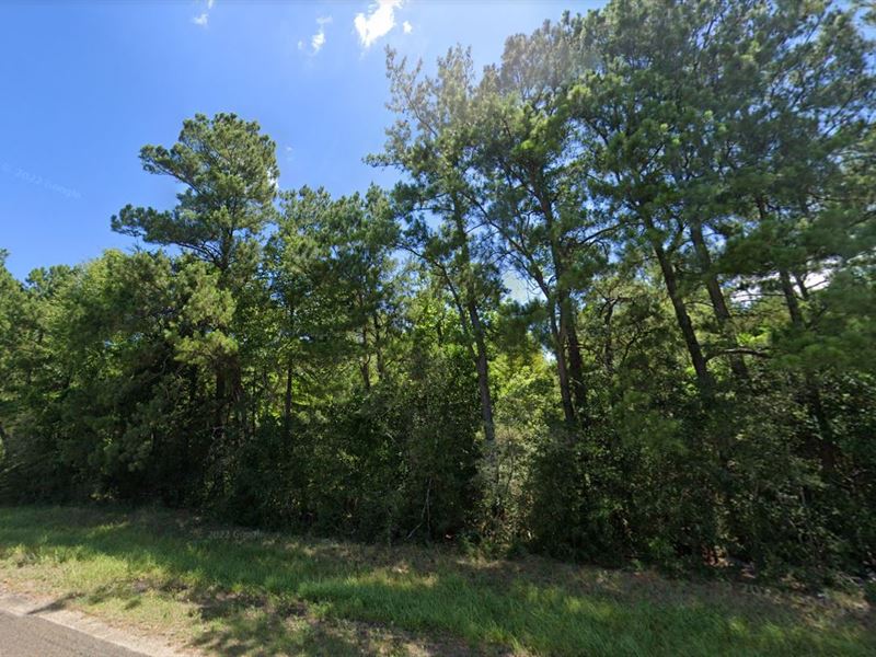 Own 0.16 Acre of Paradise : Ivanhoe : Tyler County : Texas
