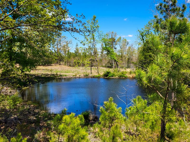 Crystal Clear Pond : Houston : Texas County : Missouri