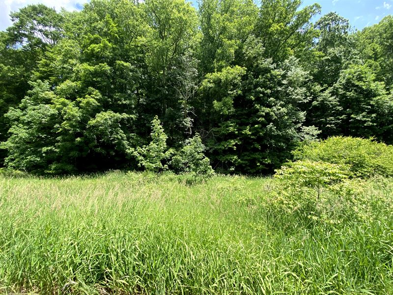 Creek and Power on 4.24 Acres : Warrensville : Ashe County : North Carolina