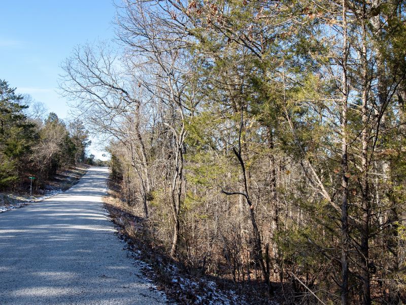 Perfect Land for Your Mobile Home : Kissee Mills : Taney County : Missouri