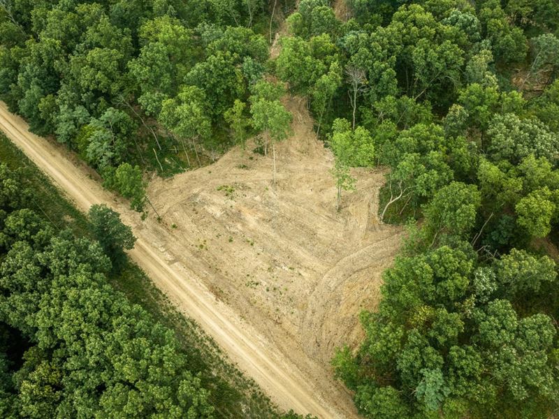 Whitetail Ridge Tract 22 : Madison : Monroe County : Missouri