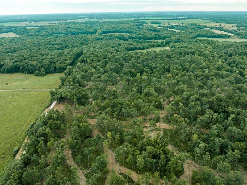 Whitetail Ridge Tract 23 : Madison : Monroe County : Missouri