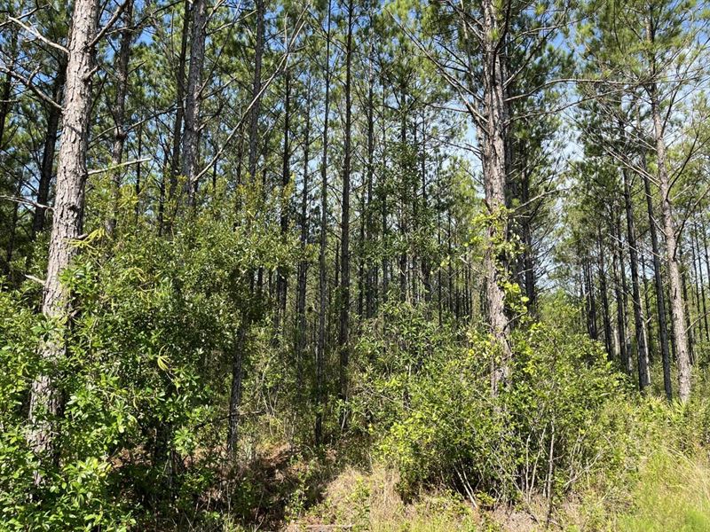 2.43 Acres in Ware County : Waycross : Ware County : Georgia