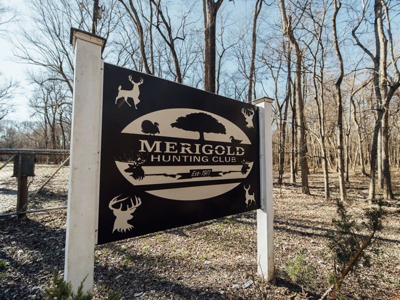 One Equity Share, Merigold Hunting : Beulah : Bolivar County : Mississippi