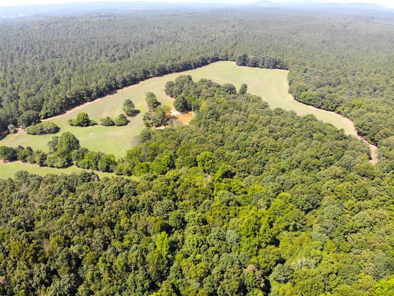 Lewis Farm Tract 1 59 ac : Cedartown : Polk County : Georgia