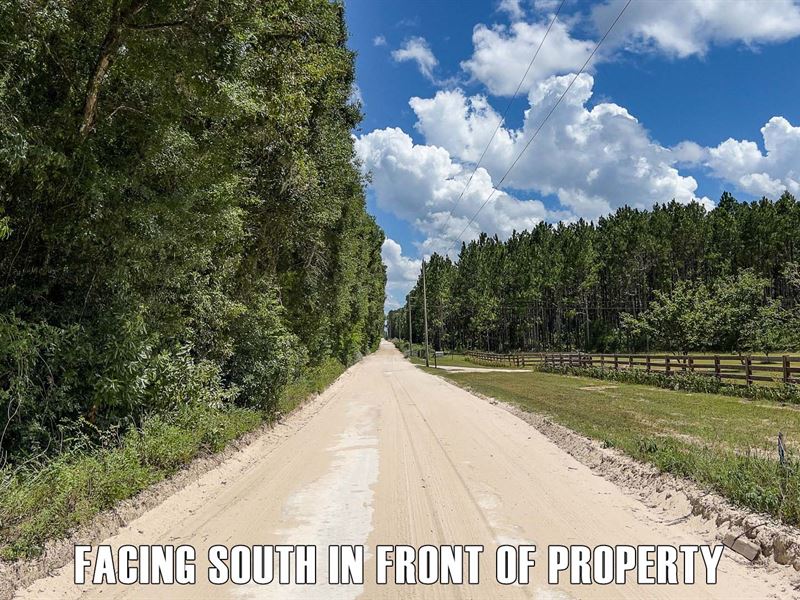 10 Acres in FL with Owner Finance : Bell : Gilchrist County : Florida