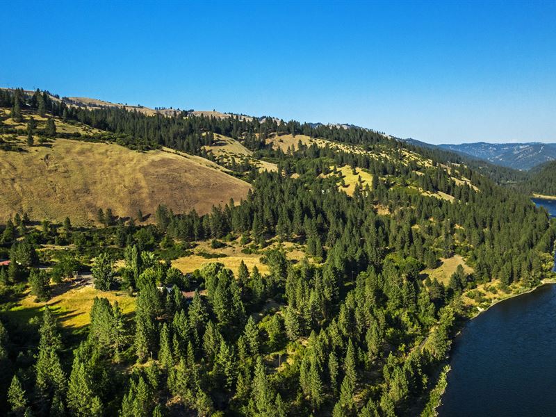 Bear Paw Lane : Lenore : Clearwater County : Idaho