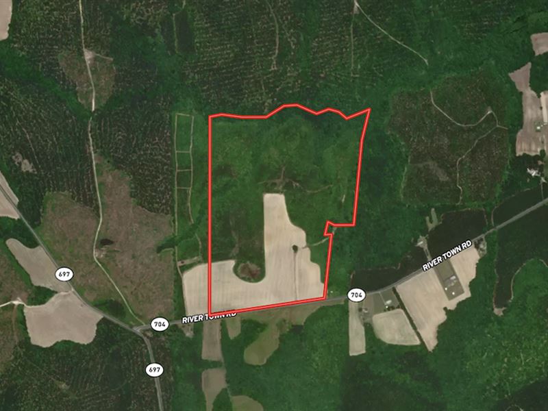 90 Acres of Resid : Yale : Sussex County : Virginia