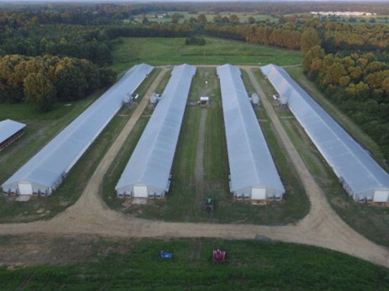 4 House Poultry Farm & 34 Acres : Bogue Chitto : Lincoln County : Mississippi