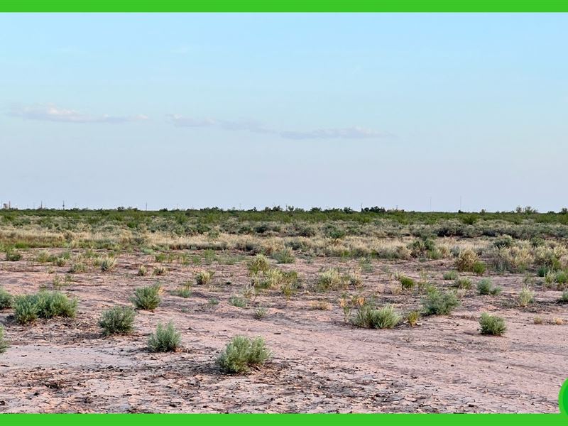 5.121 Acres of Unrestricted Land : Fabens : El Paso County : Texas