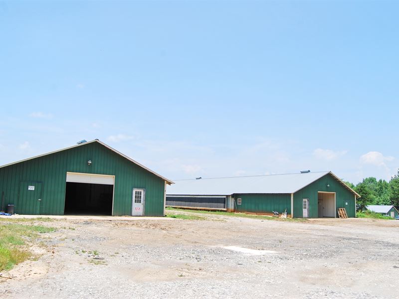 Breeder Farm with Good Income : Baldwin : Banks County : Georgia