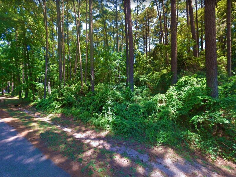 .25 Acre in Hemphill, $200/Month : Hemphill : Sabine County : Texas