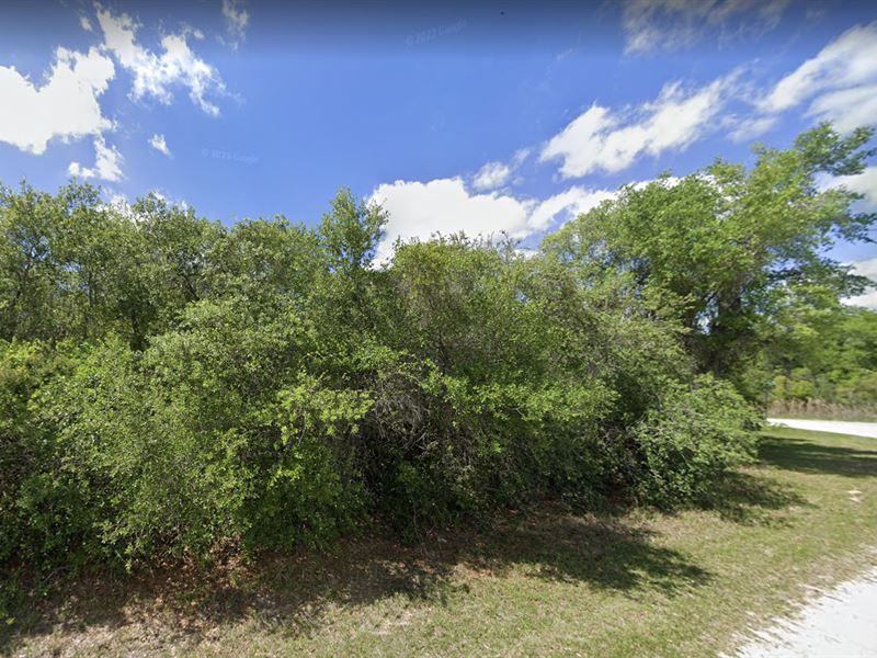 2 Lots for Sale in Fort McCoy, FL : Fort Mc Coy : Marion County : Florida