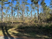 Spacious Nearly 10 Acre Lot : Mac : Monroe County : Georgia