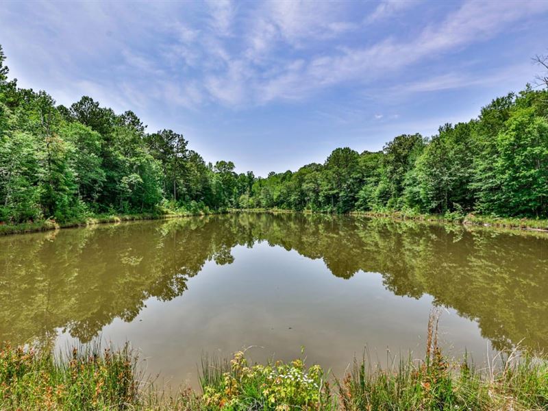 $2,850 Per Acre, Call Today : Stephens : Oglethorpe County : Georgia