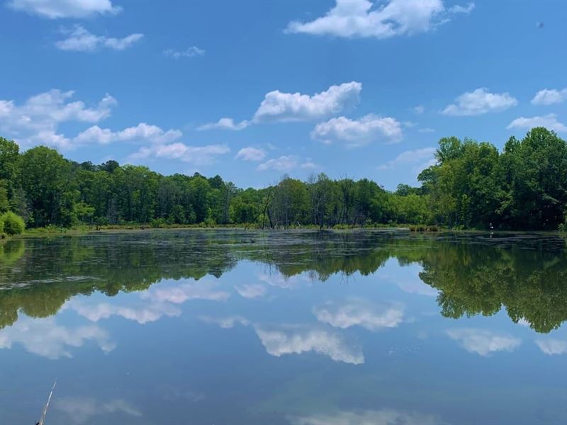 Little River Preserve : Abbeville : Abbeville County : South Carolina