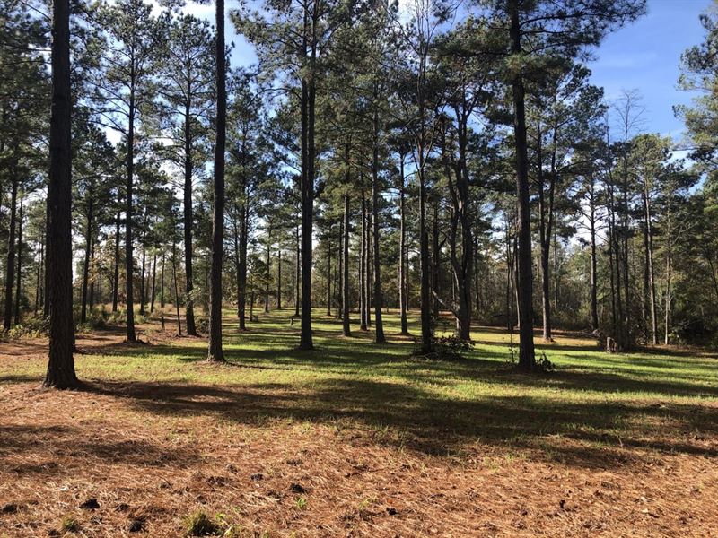 Sparks Creek Preserve : Shiloh : Harris County : Georgia