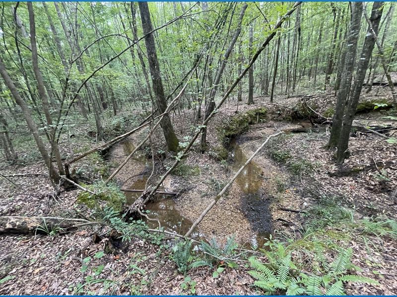 20 Acres in Copiah County in Hazleh : Hazlehurst : Copiah County : Mississippi