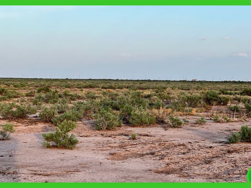 5.131 Acres of Unrestricted Land : Fabens : El Paso County : Texas