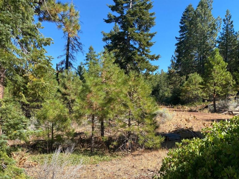 .93 Acre for Sale in Alturas, CA : Alturas : Modoc County : California