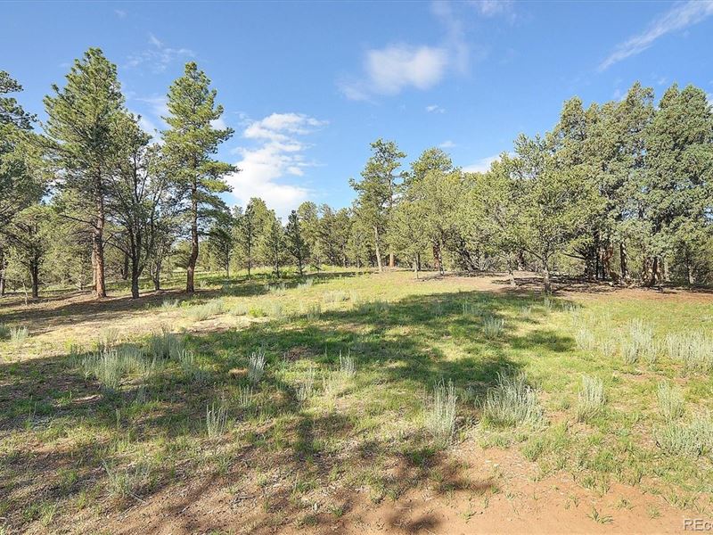 35 Acres with Blm Access : Cotopaxi : Fremont County : Colorado