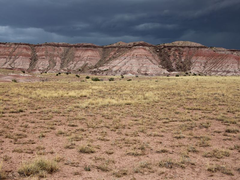 37 Acre Mountain Views : Saint Johns : Apache County : Arizona
