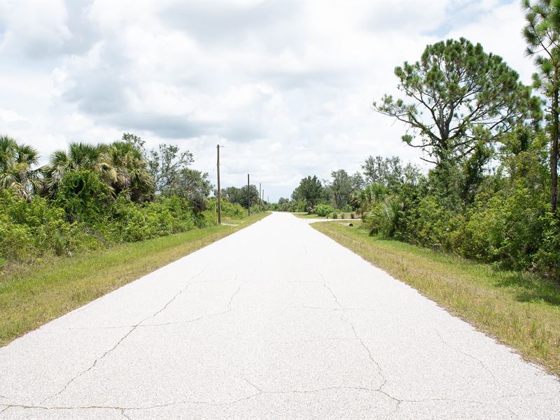 Paved Road Access, Power Nearby : Port Charlotte : Charlotte County : Florida