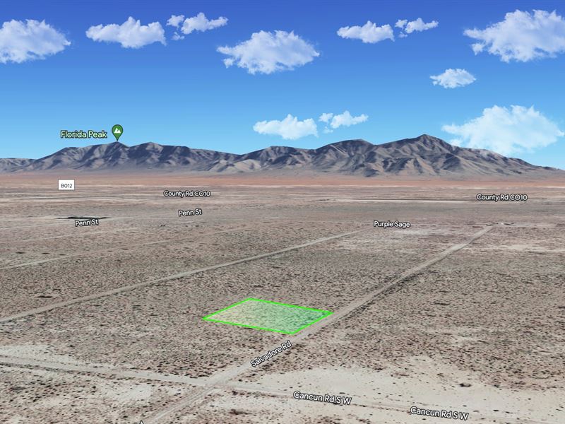.5 Ac Luna County, NM Just $49 Down : Deming : Luna County : New Mexico