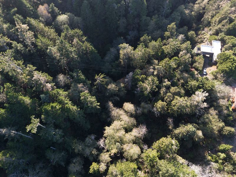 A Piece Of Paradise in Manchester : Manchester : Mendocino County : California
