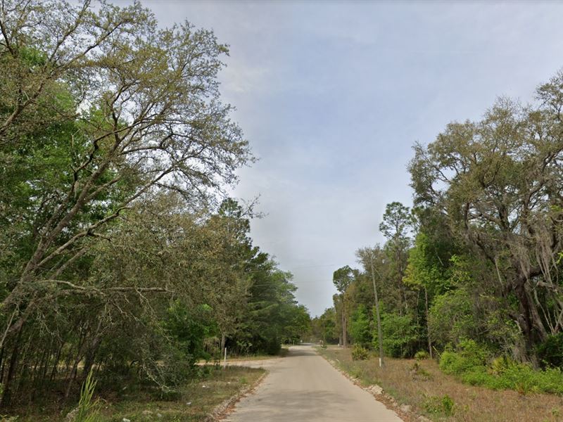 Land Magic, Natures Gift, $325/Mo : Interlachen : Putnam County : Florida