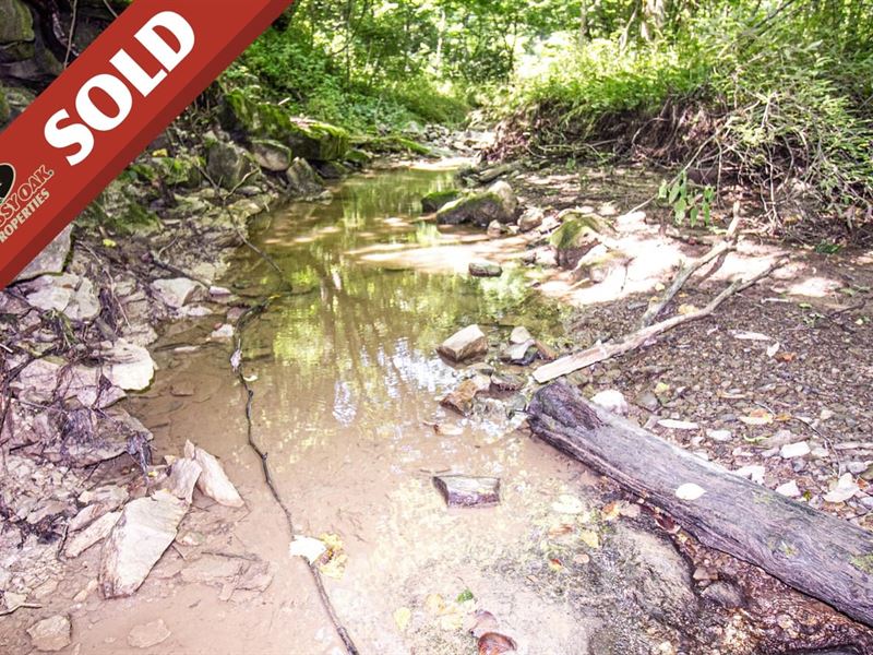 McConnellsville Rd, 18 Acres, Nob : Caldwell : Noble County : Ohio