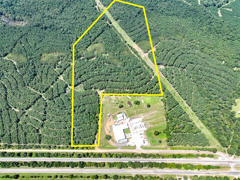 40 Acres, County Road 9070 T-2 : Avinger : Marion County : Texas