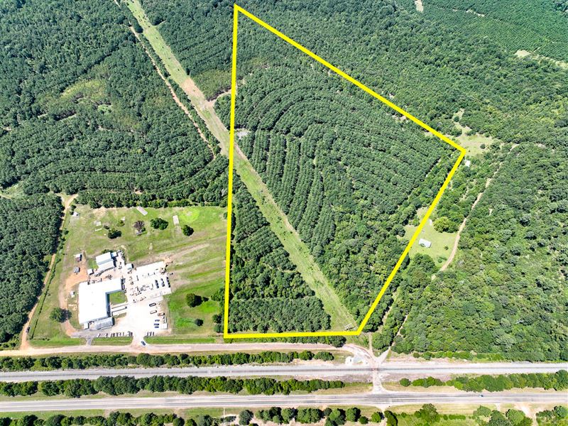 30 Acres, County Road 9070 T-1 : Avinger : Marion County : Texas