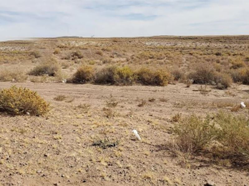 Camping, Hiking, and Riding Fun : Sun Valley : Navajo County : Arizona