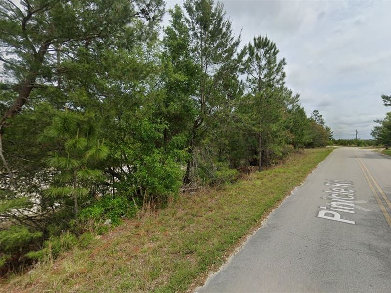 Retire & Raise Your Family in FL : Satsuma : Putnam County : Florida