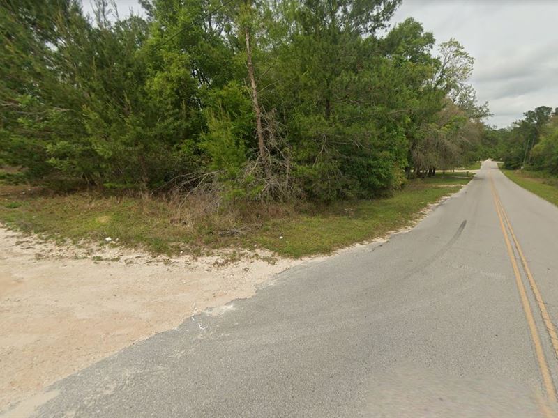 Create Your Dream Home on 0.25 Acre : Satsuma : Putnam County : Florida