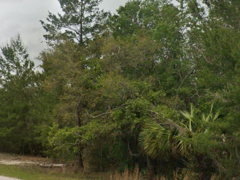 Live Out Your Florida Dreams : Satsuma : Putnam County : Florida